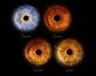 Xavier MARTINO - STUDIO MARTINO