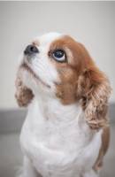 Matthieu LANDON - MATTHIEU LANDON